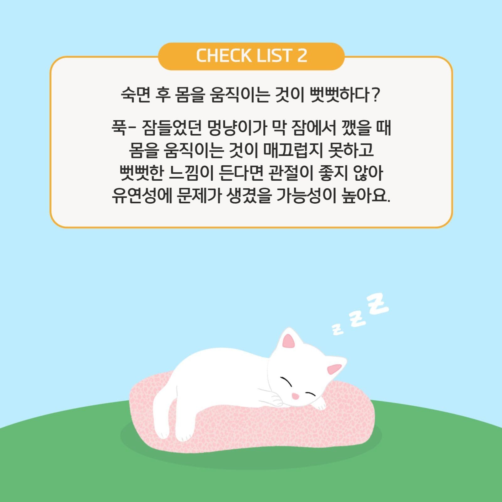 멍냥이 관절건강 체크리스트