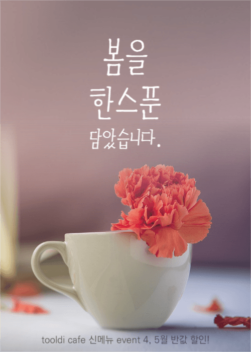 봄을 한스푼 담았습니다.