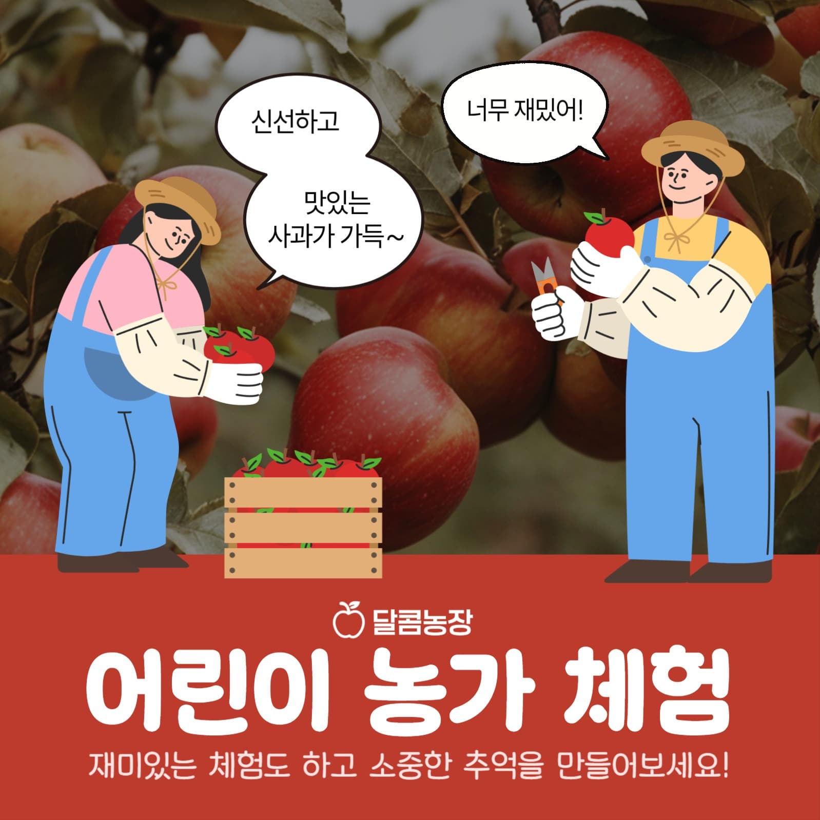 과수원 사과따기 어린이 농가체험 홍보