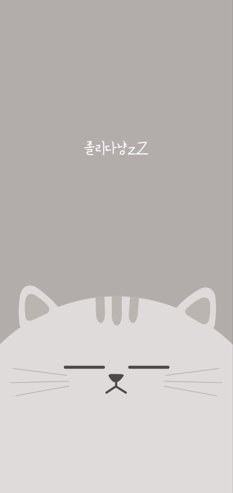 졸리다냥 고양이 배경화면
