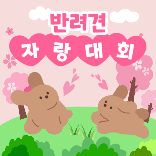 반려견 자랑대회 (페이스북)