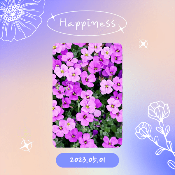 Happiness (페이스북)