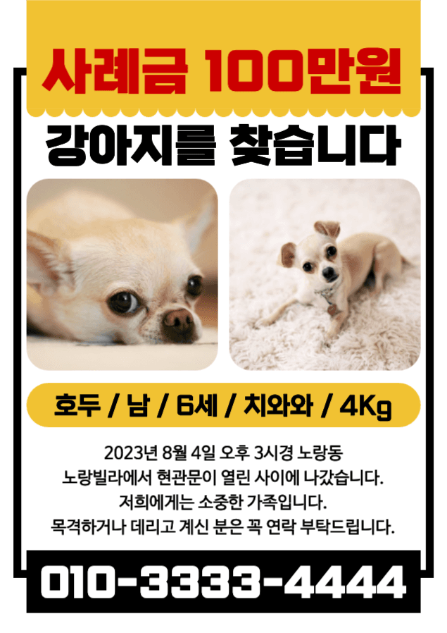 강아지를 찾습니다 전단지