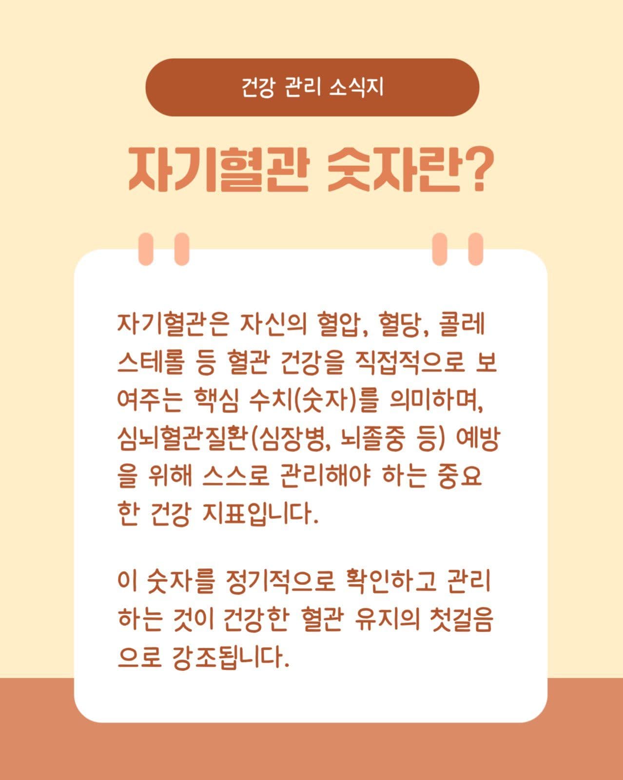자기혈관 숫자알기 카드뉴스