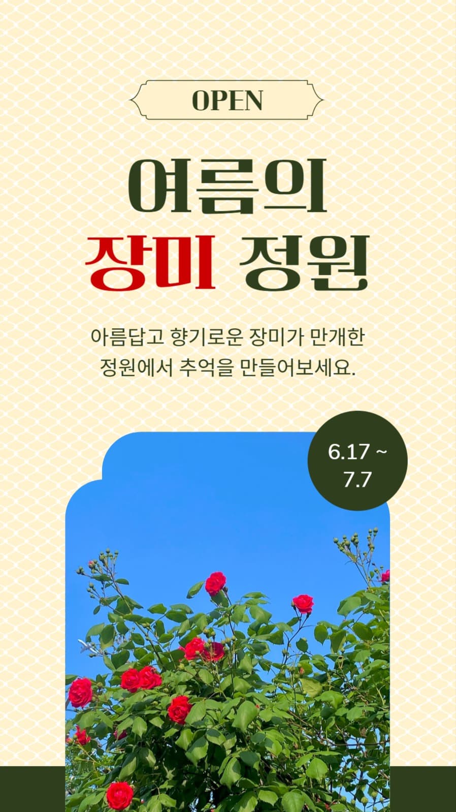 장미정원 소셜미디어 게시물