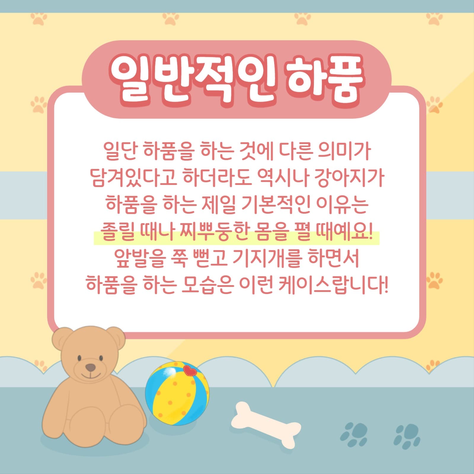 강아지 하품 알기
