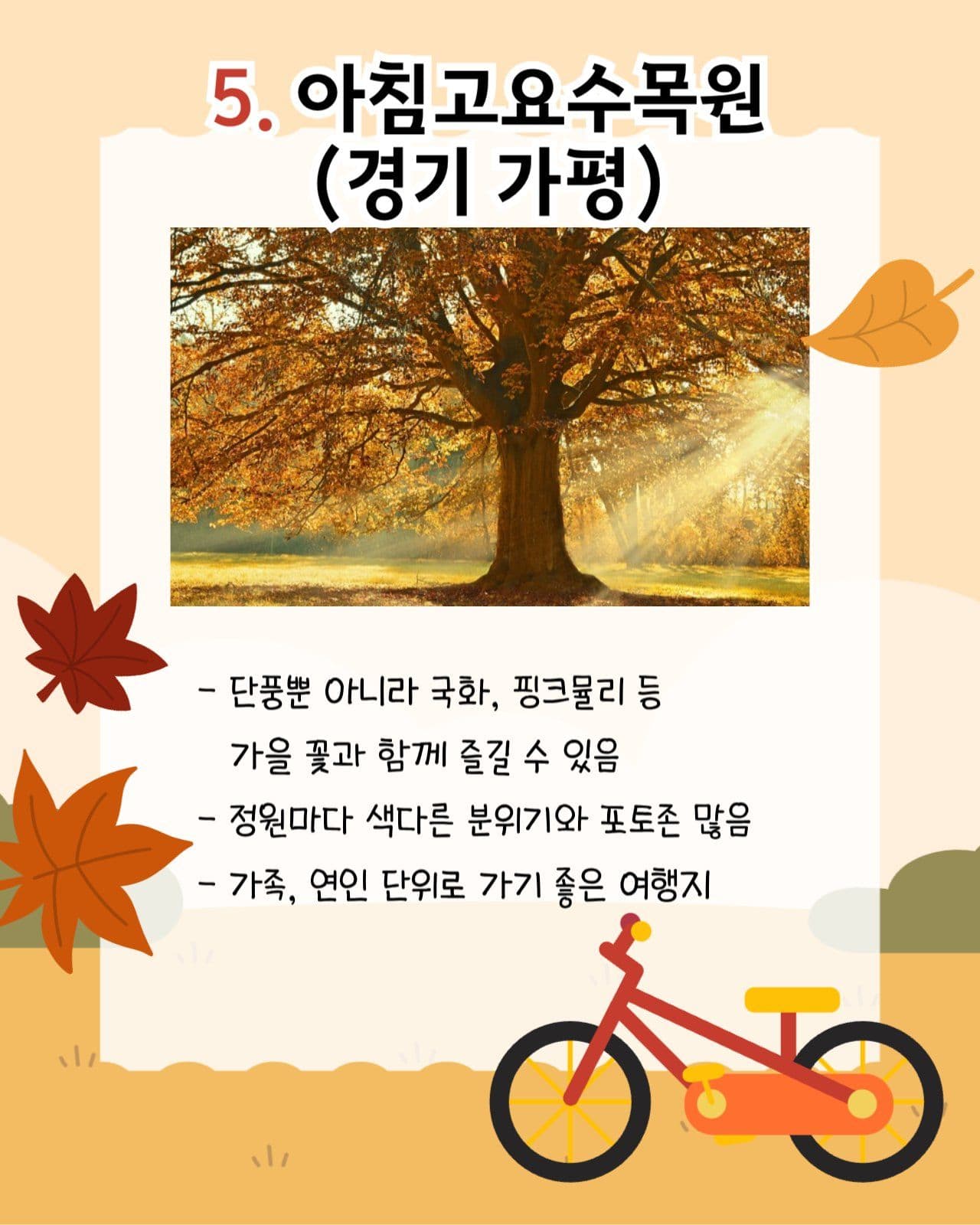 가을 단풍 국내 여행지 추천 카드뉴스