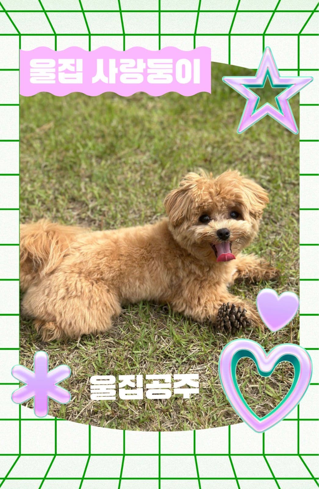 귀여운 키치 y2k 3d 포토카드