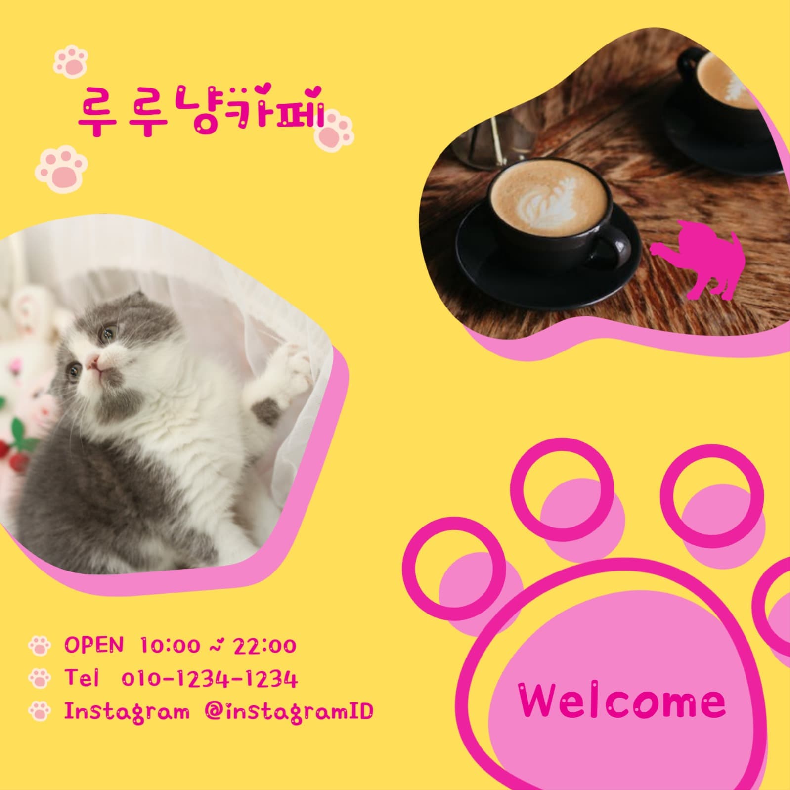고양이 카페
