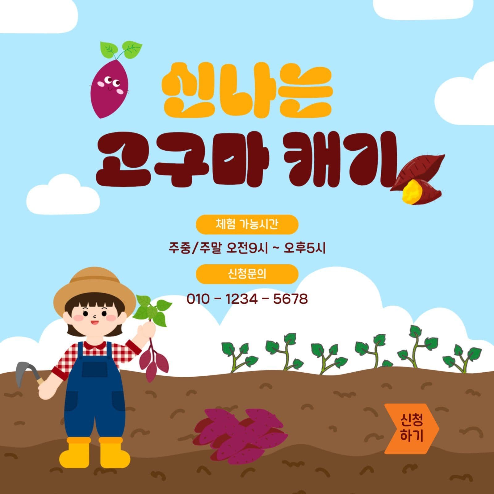 신나는고구마캐기