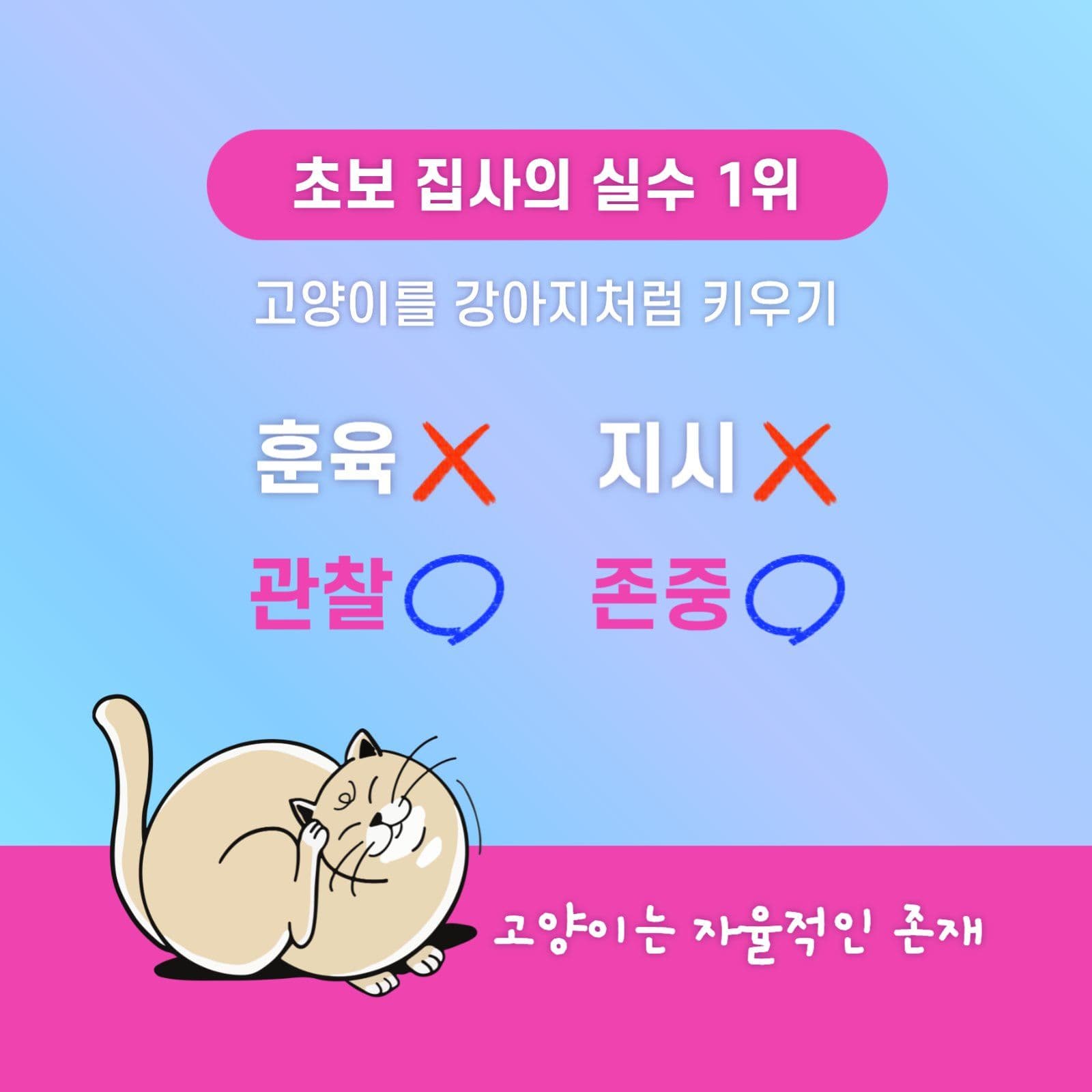 고양이와 집사