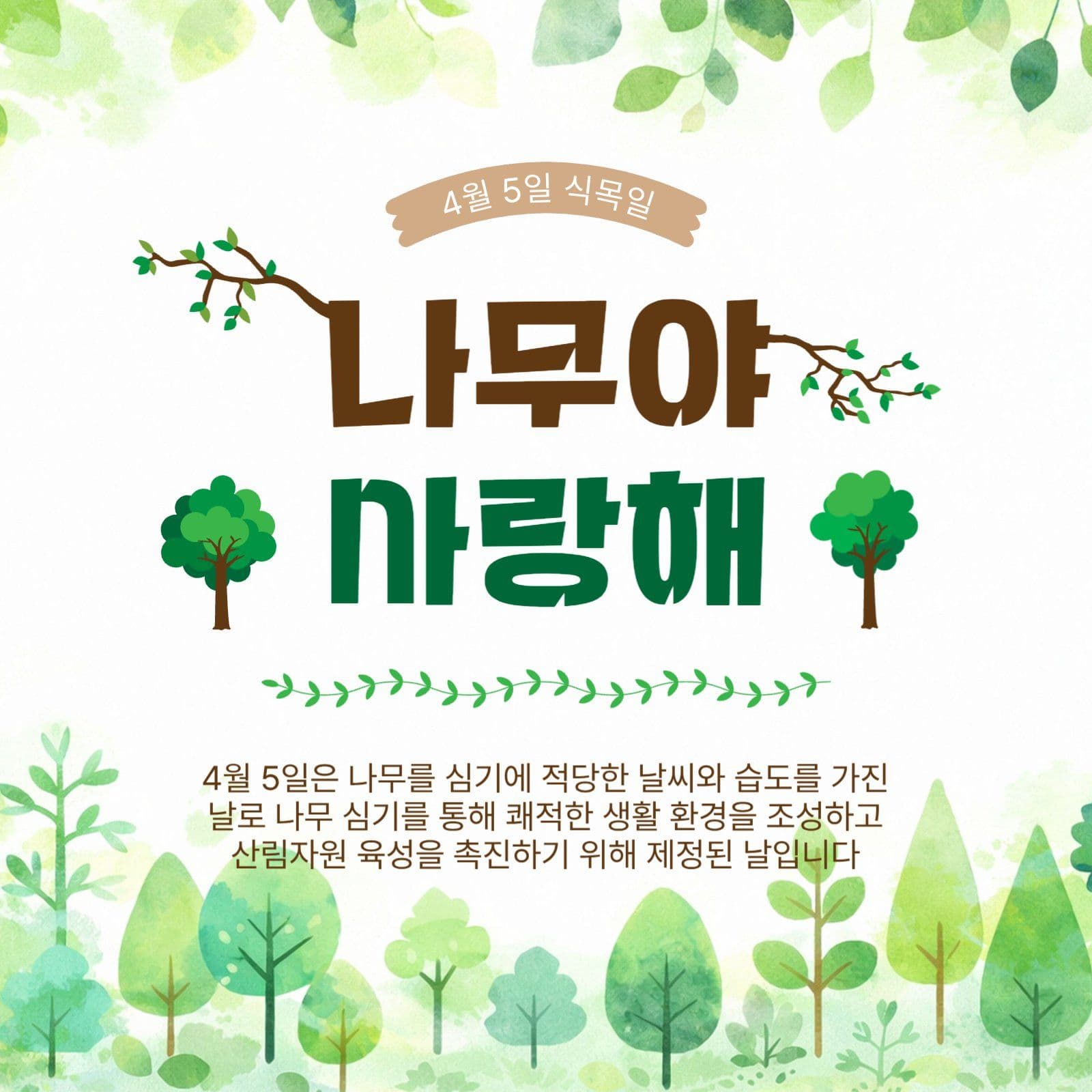 나무야사랑해