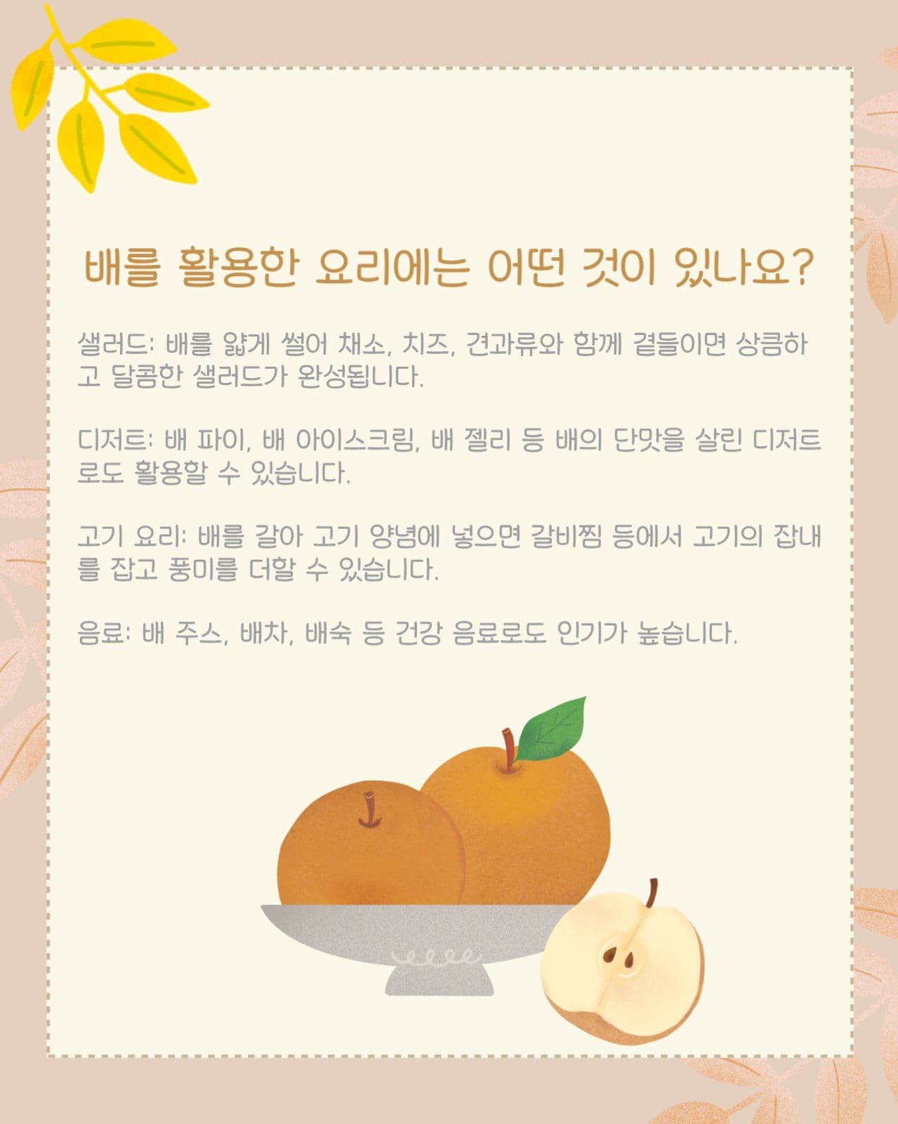 배 이야기