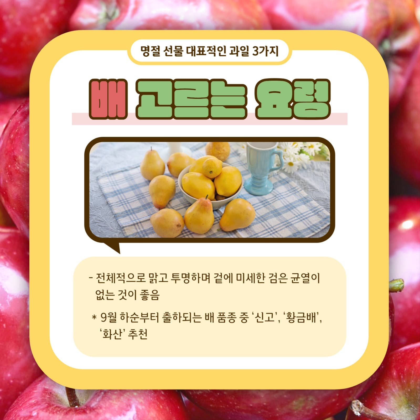과일 고르는 요령