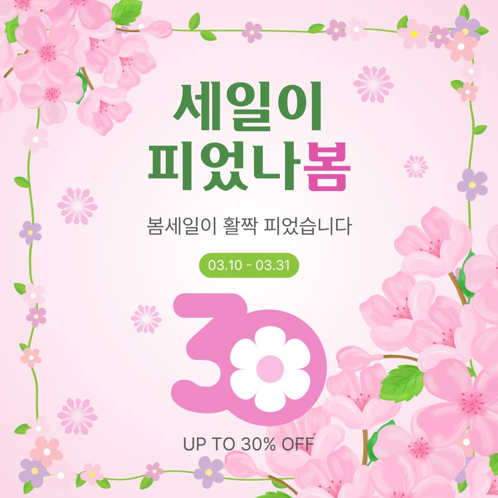 세일이피었나봄