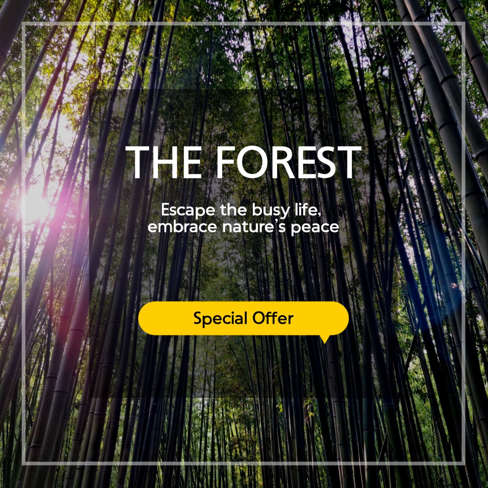 The Forest