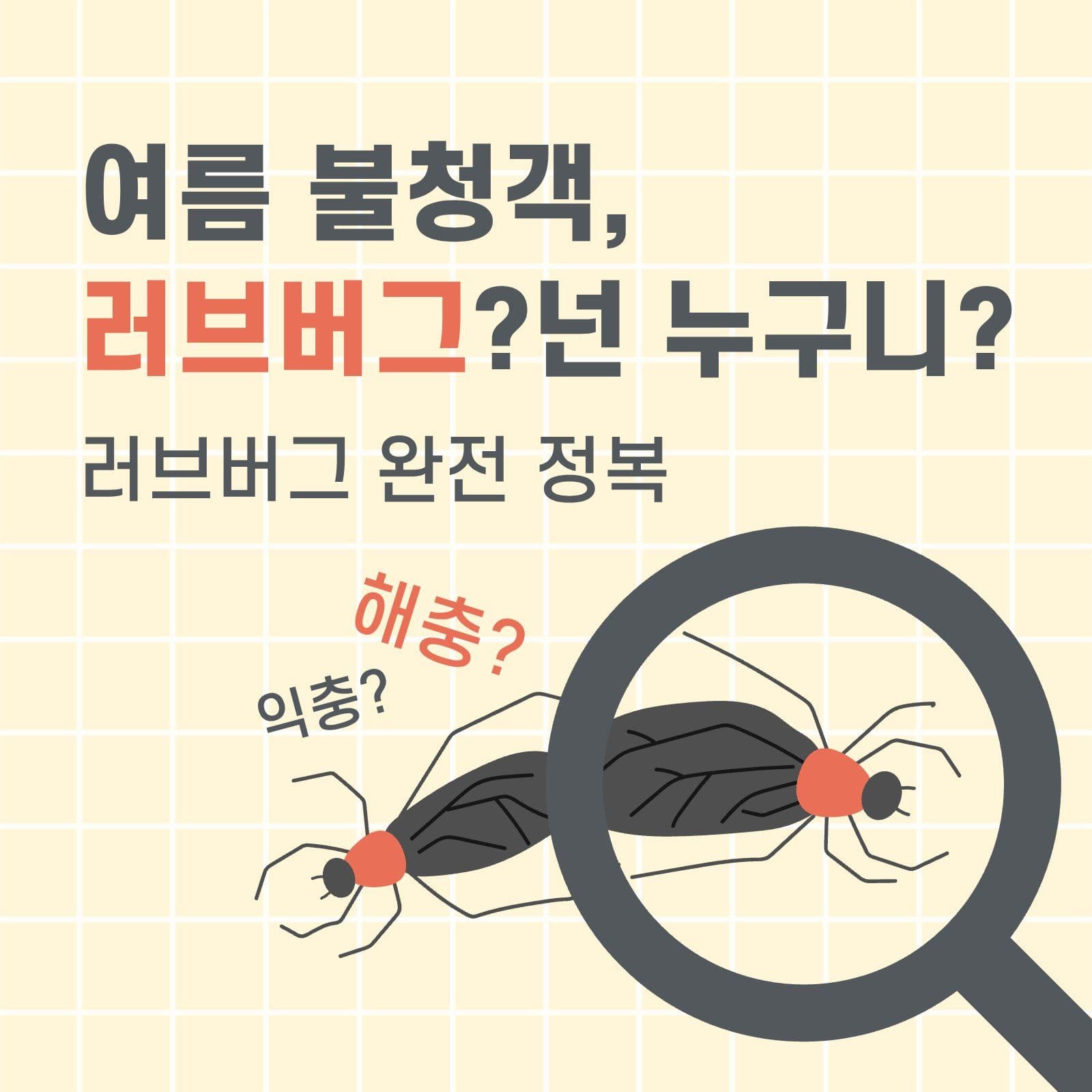 러브버그 카드뉴스