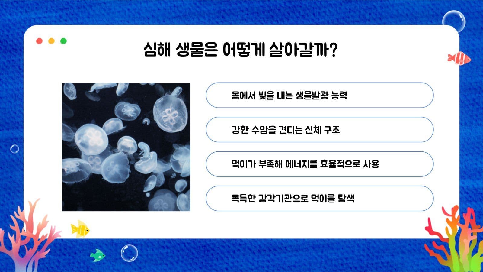 산호초 해양생물 교육자료