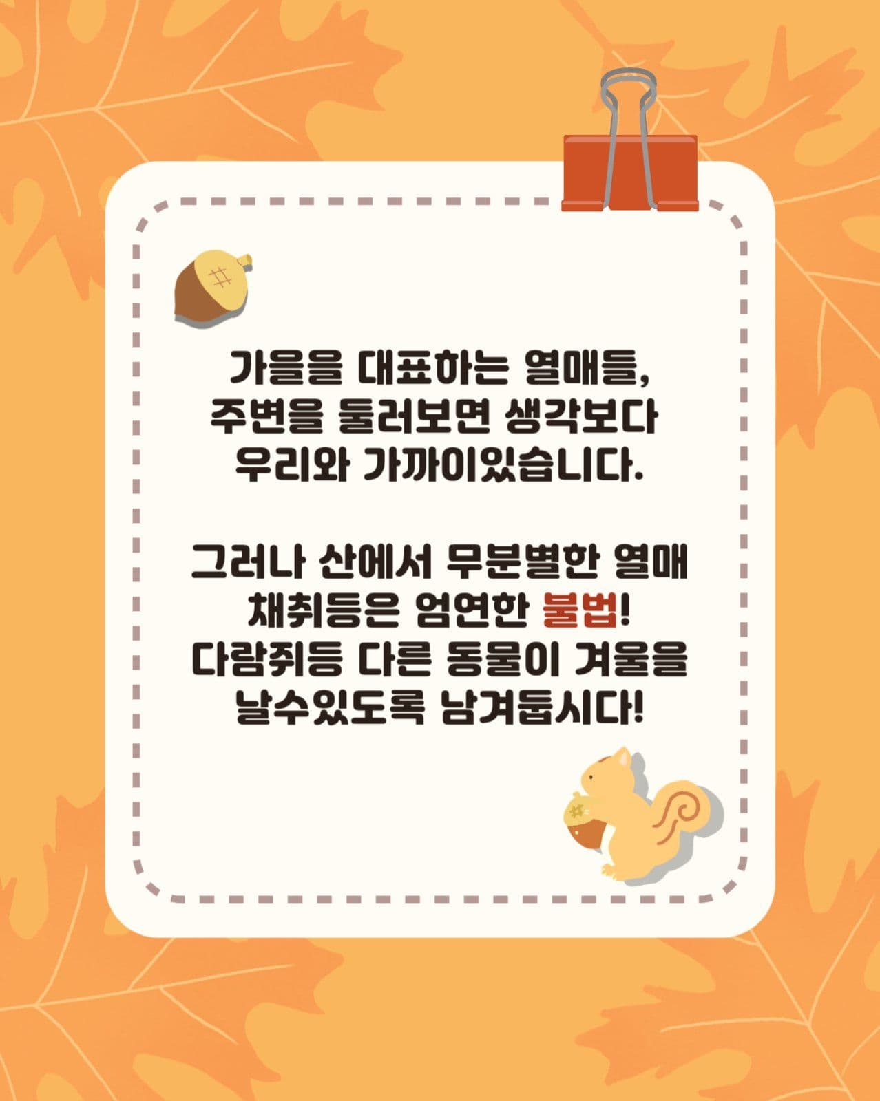 가을 먹거리 카드뉴스