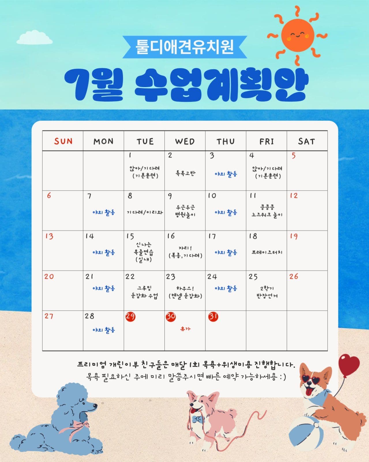 애견유치원 7월 수업계획