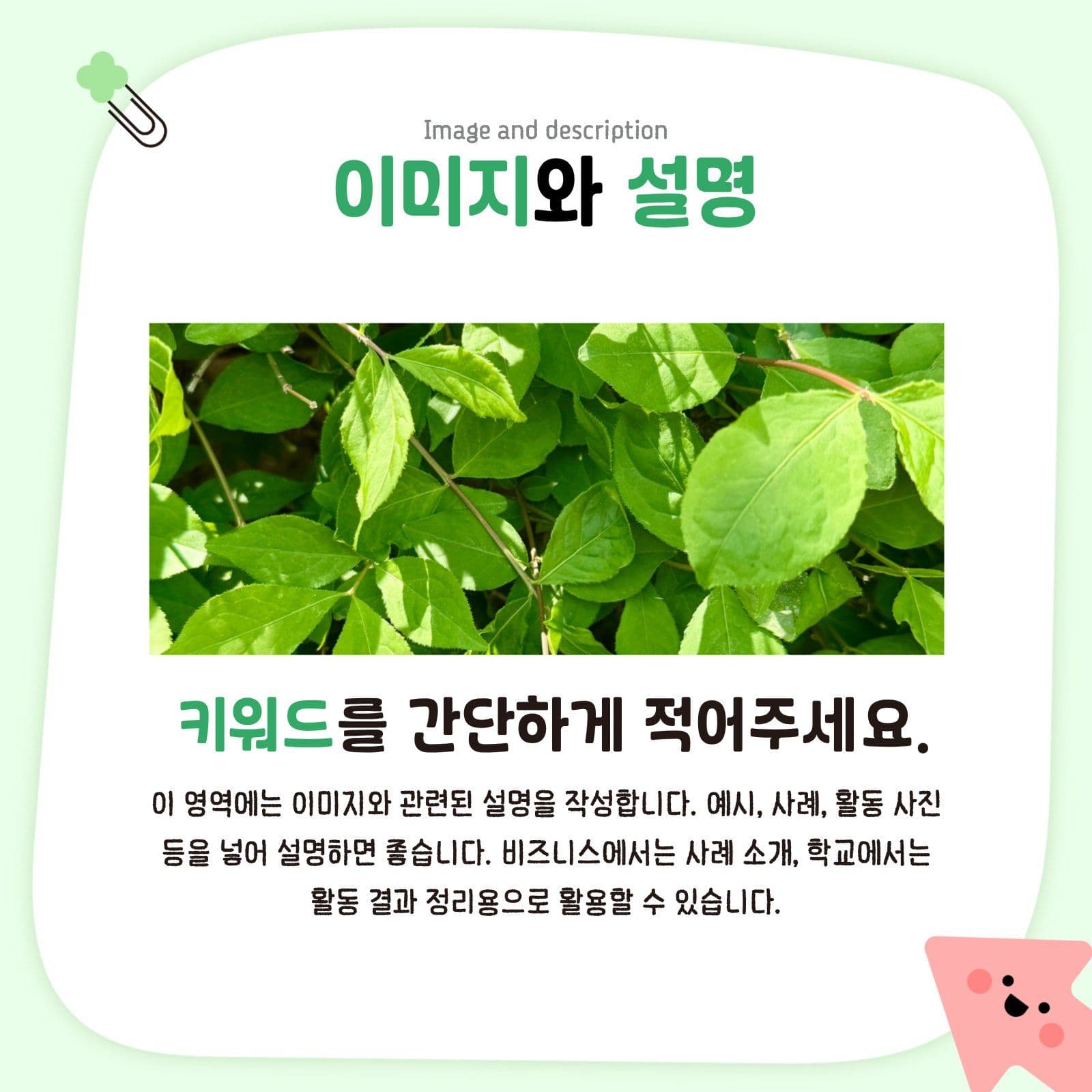 간단하고 귀여운 카드뉴스