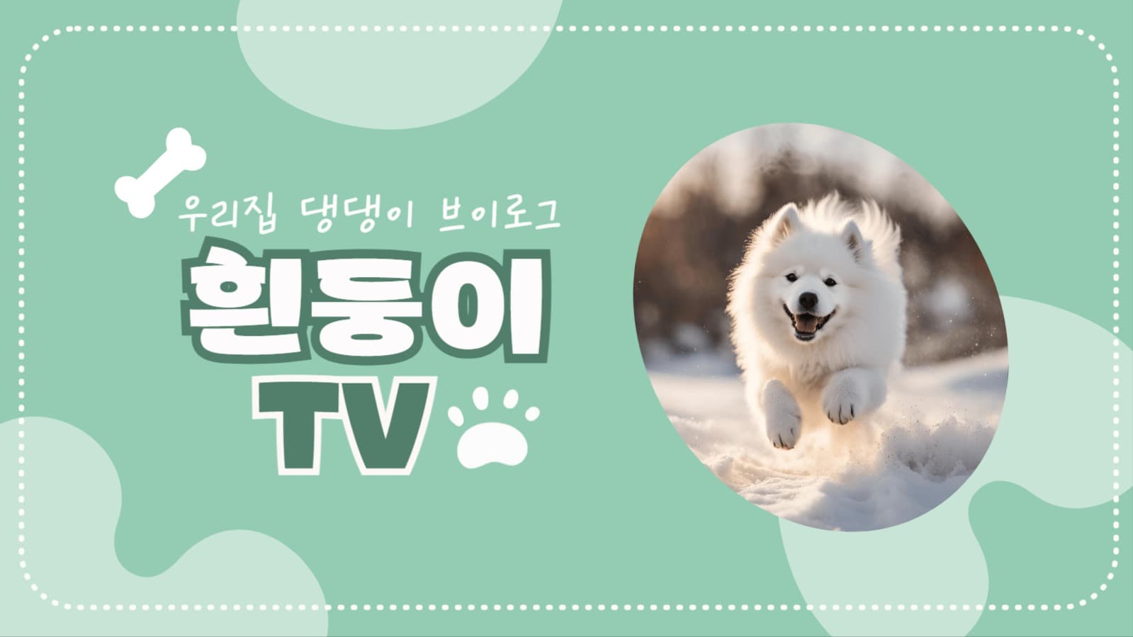 강아지 브이로그 유튜브 섬네일