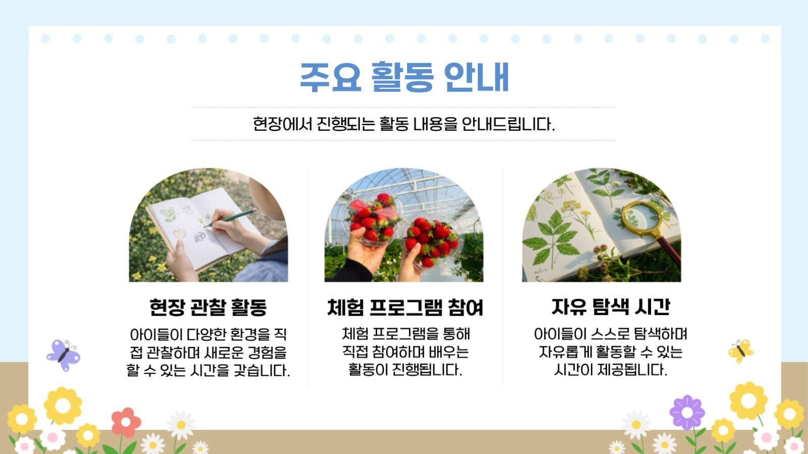 체험활동 안내