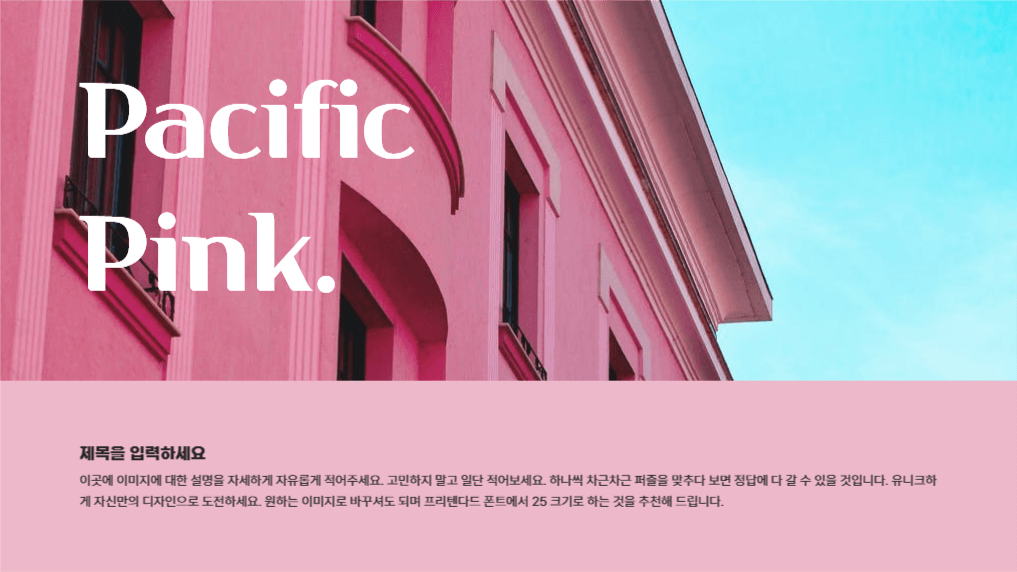 유니크한 퍼시픽 핑크