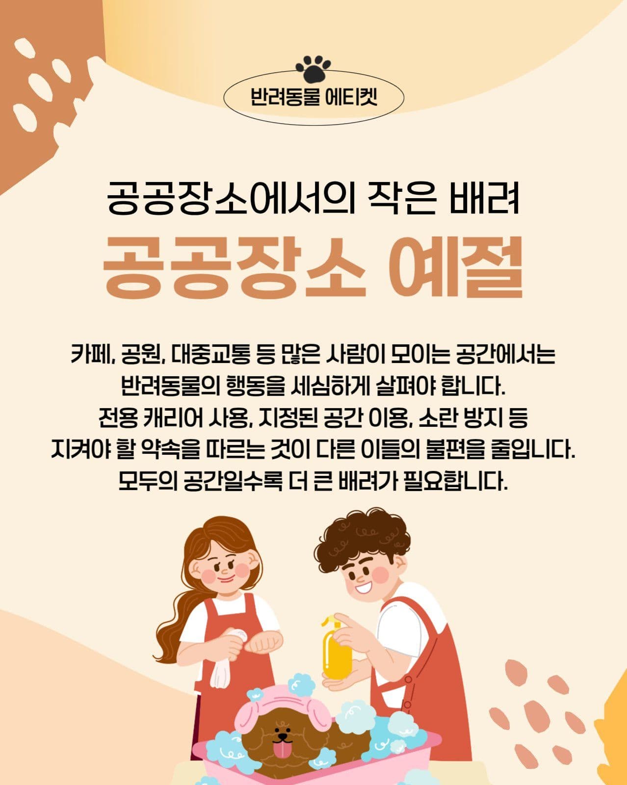 펫티켓 카드뉴스