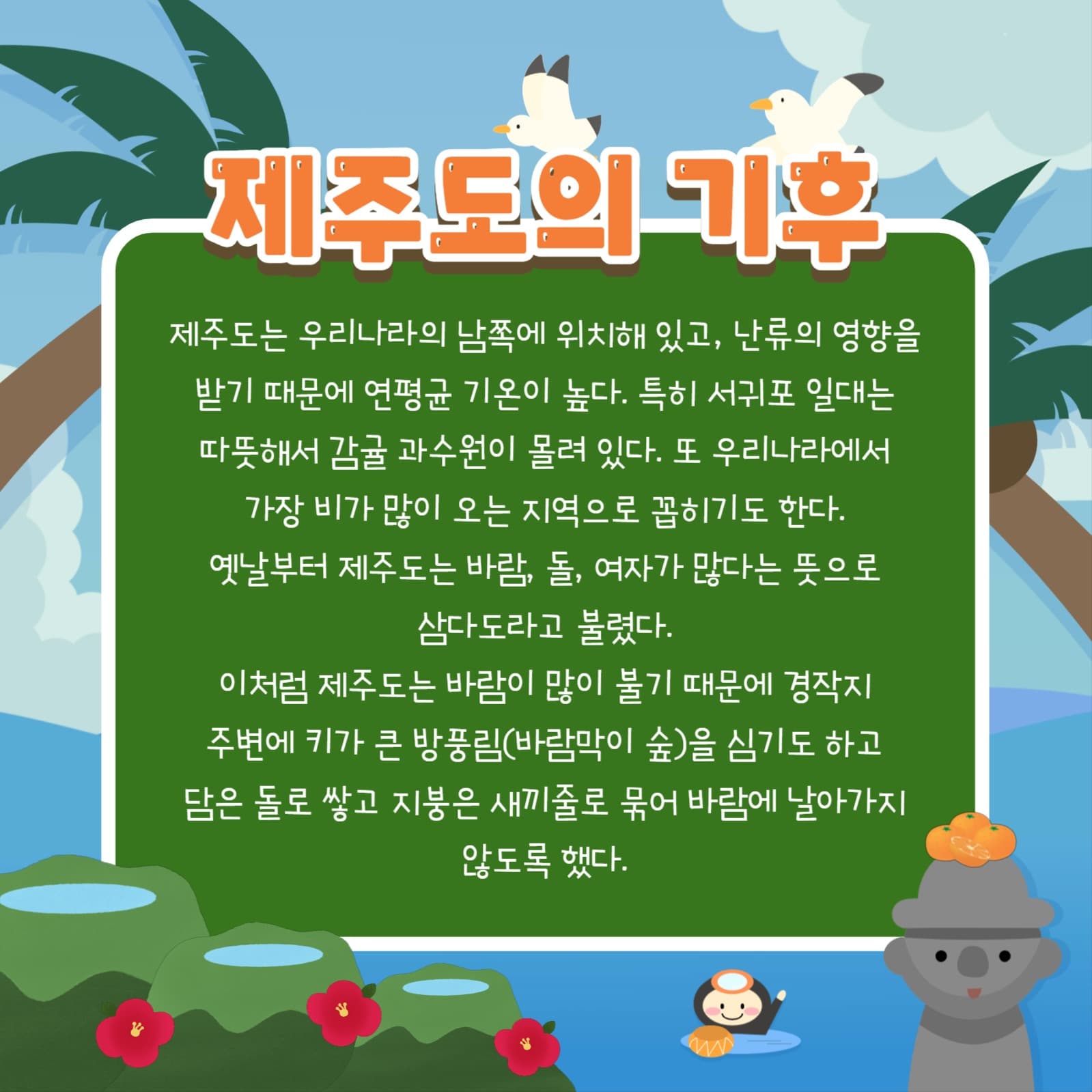 제주도에 대해
