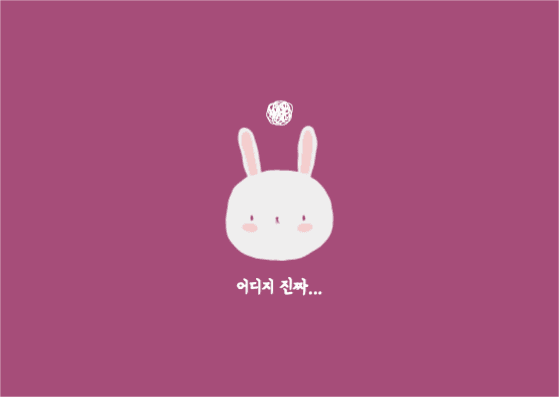 어디지 진짜 토끼 엽서 카드