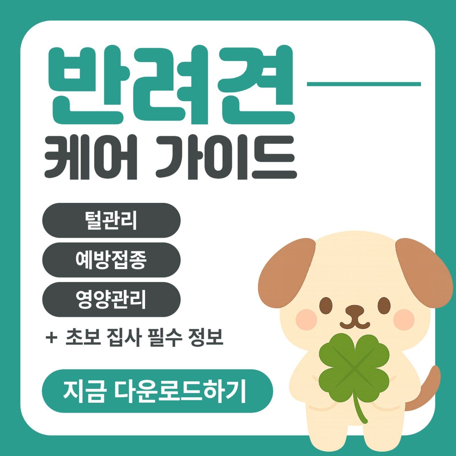 반려견 케어 가이드