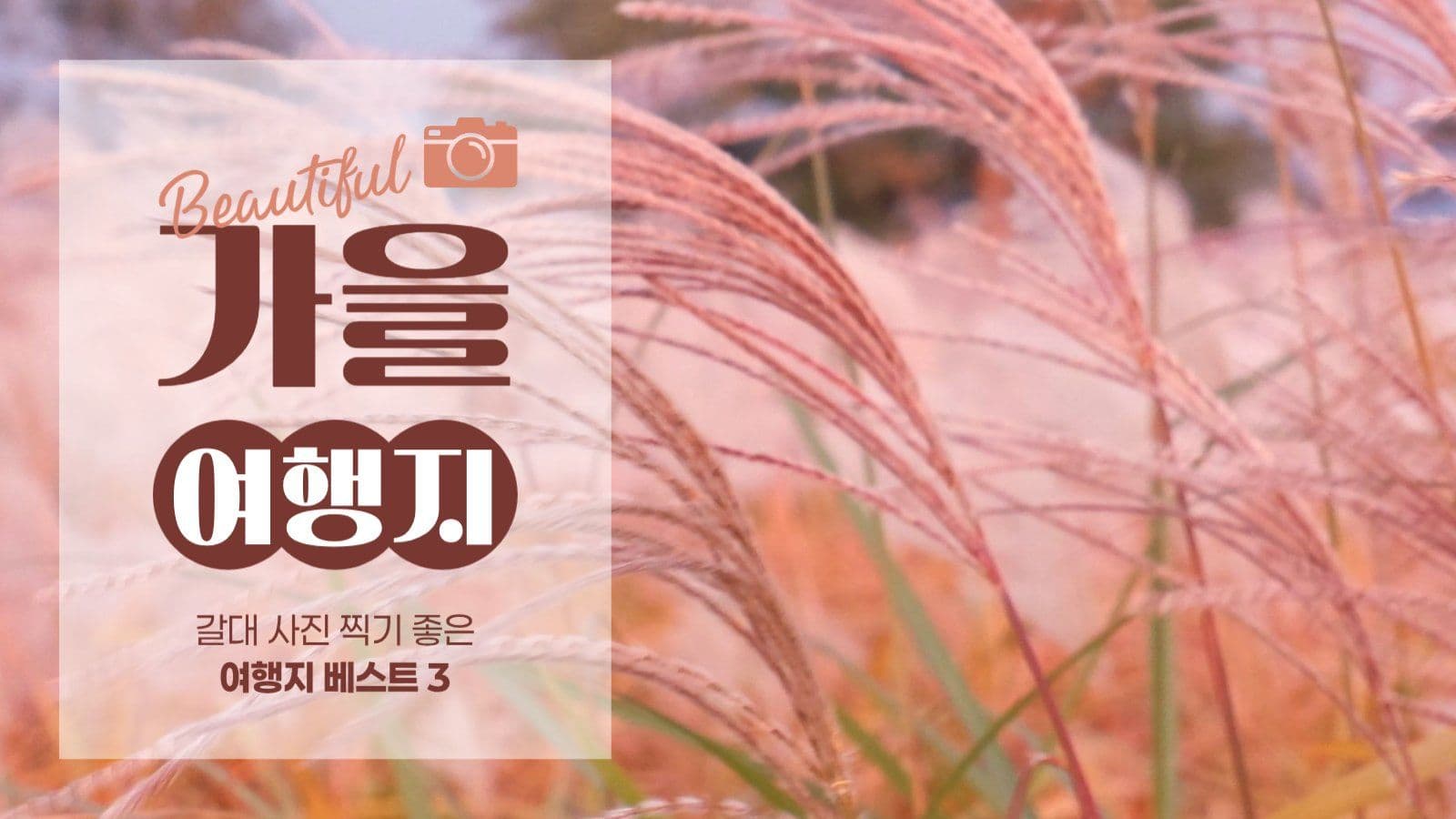 가을 여행지 추천 게시물