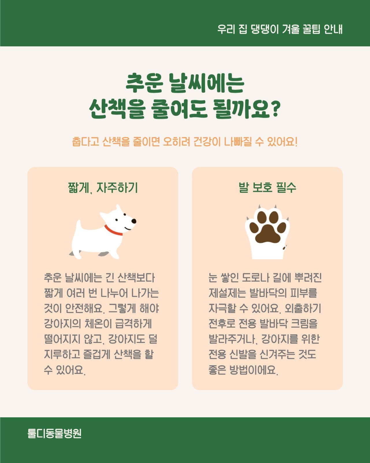 반려동물 강아지 건강 정보 카드뉴스