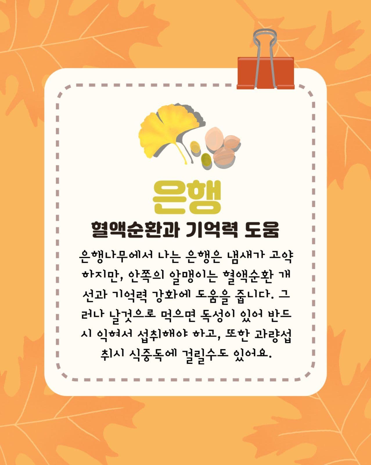가을 먹거리 카드뉴스