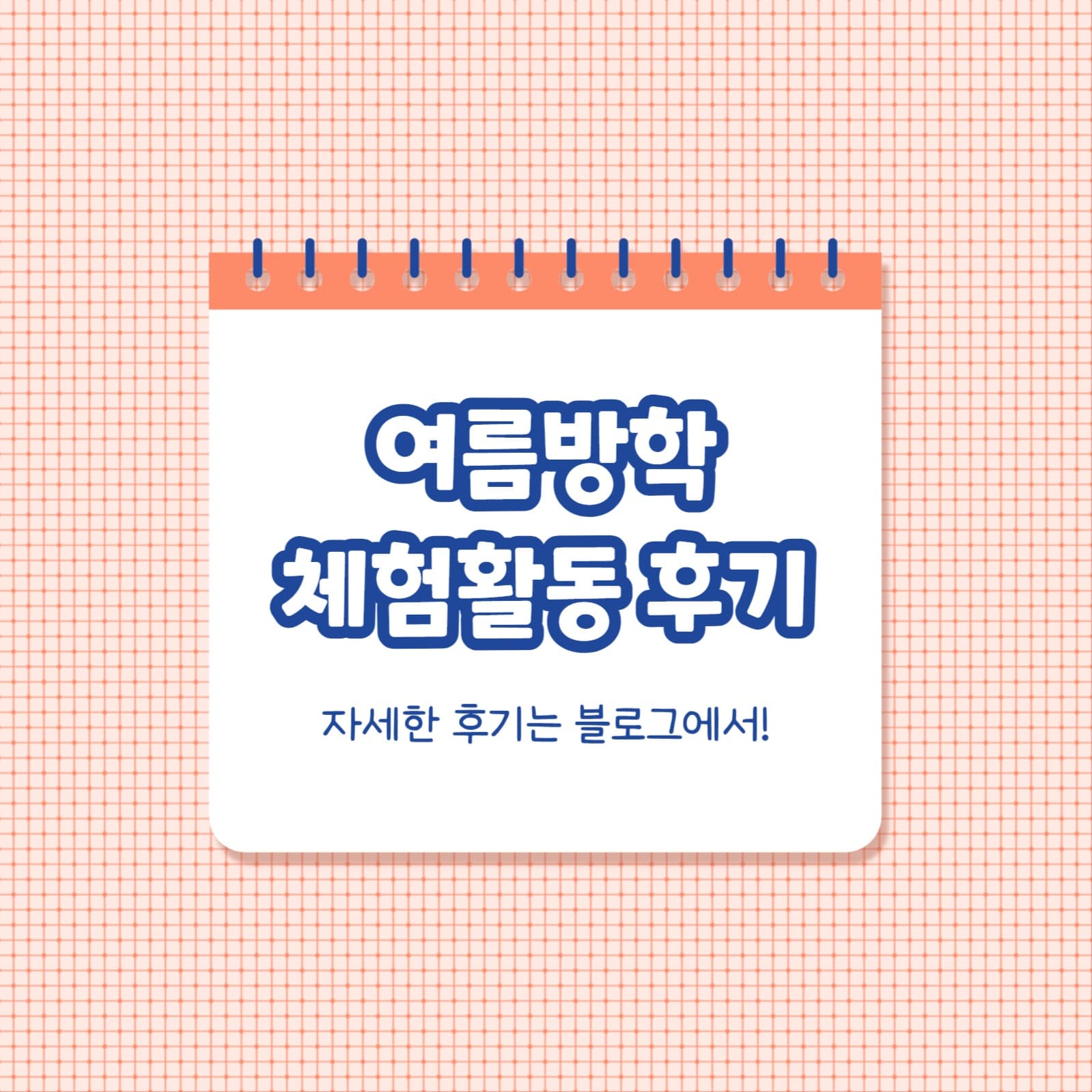 여름방학 체험활동 후기 (카드뉴스)
