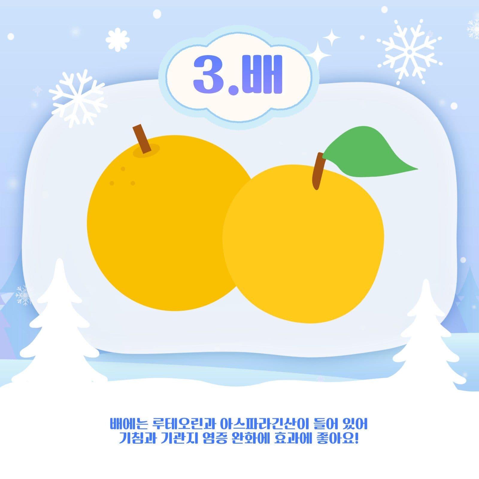 겨울 제철 과일 순위 카드뉴스 