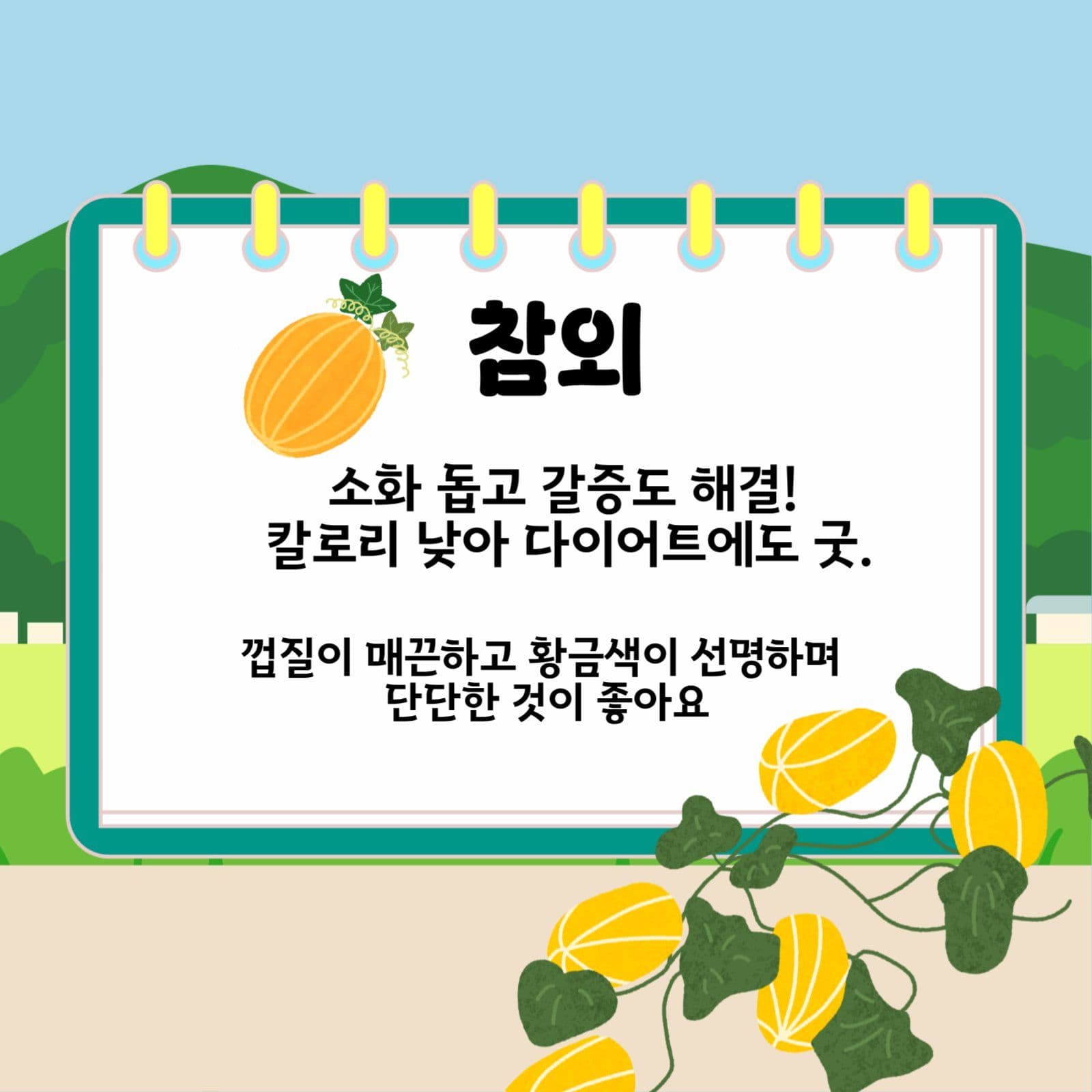 여름제철음식