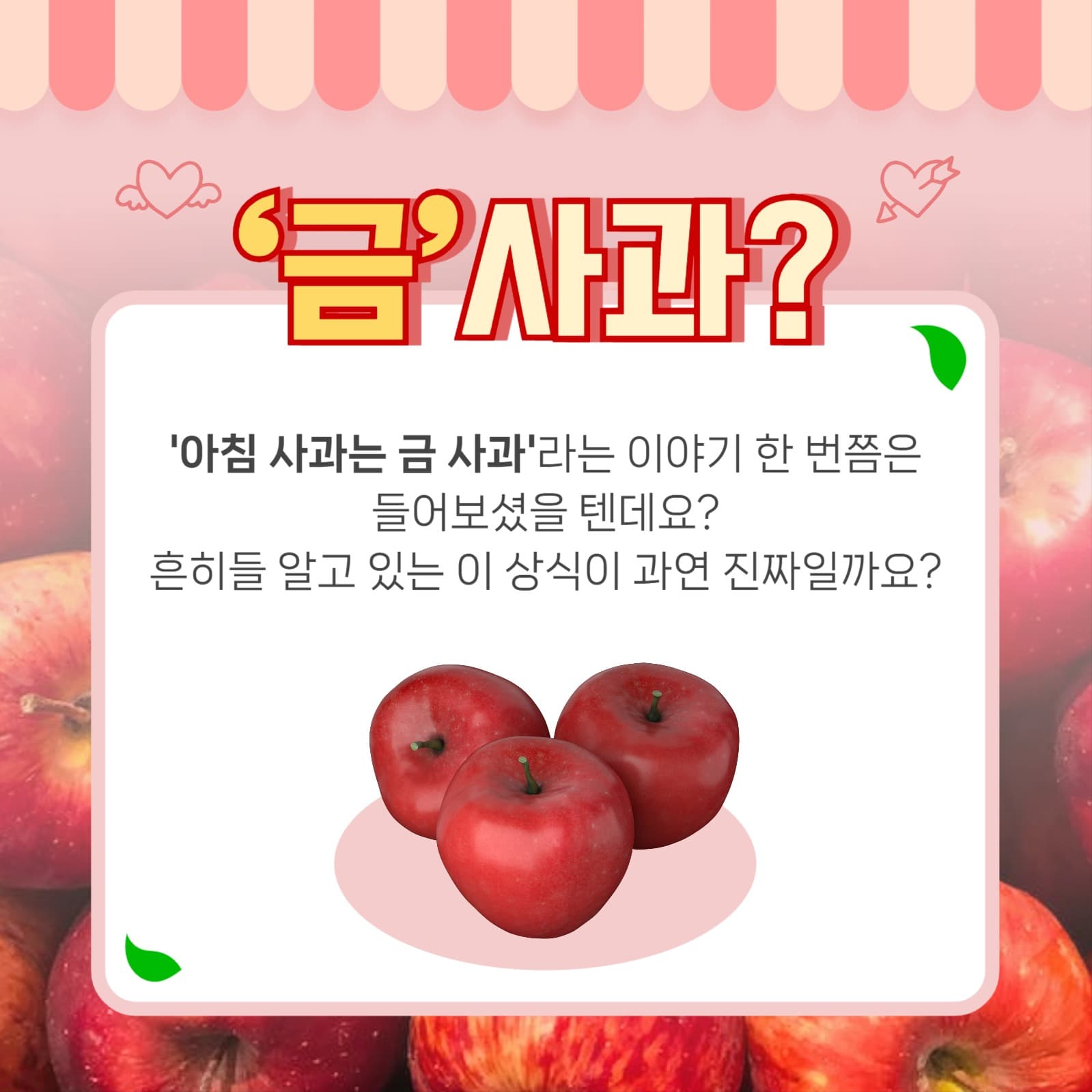 사과 템플릿
