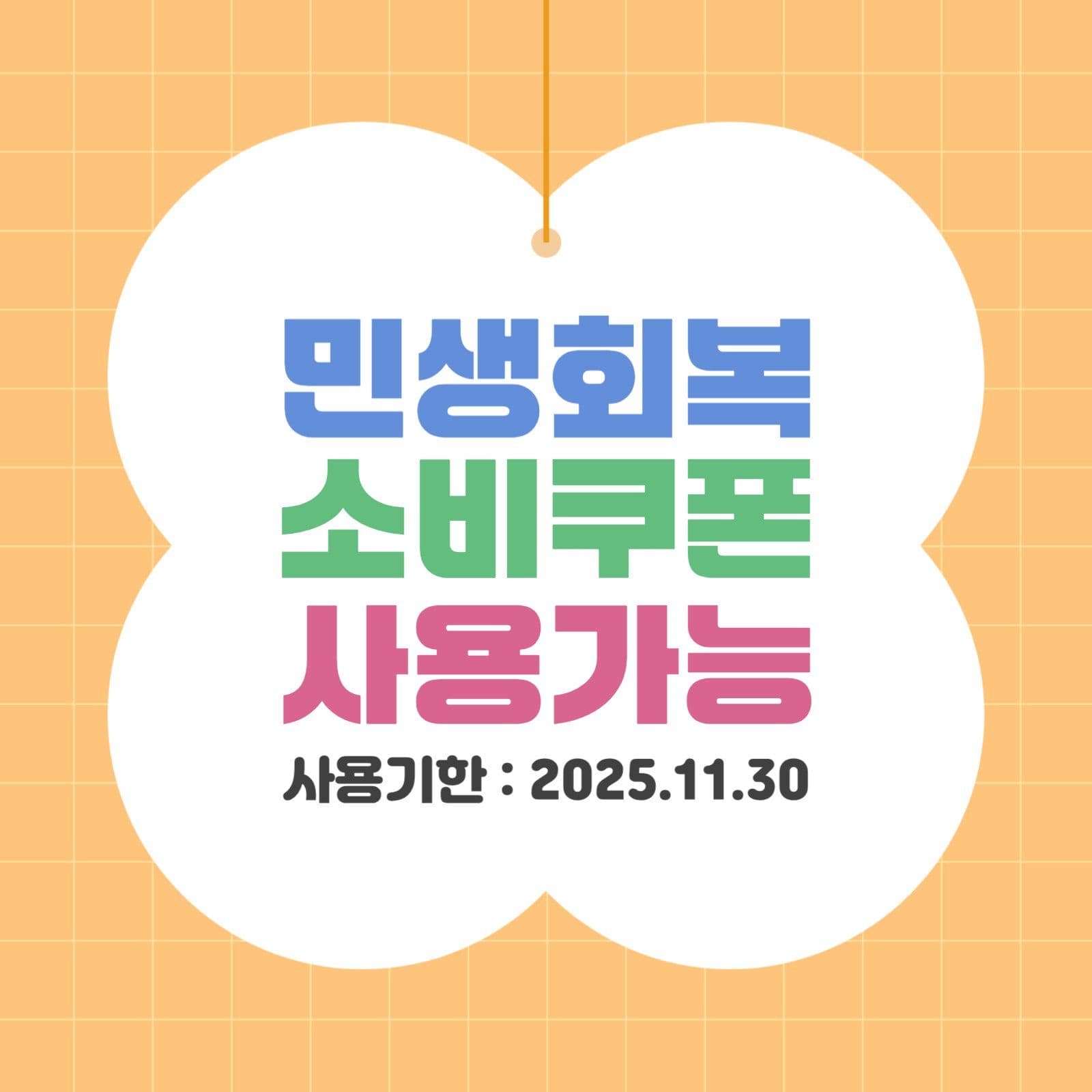 민생회복 소비쿠폰 사용가능