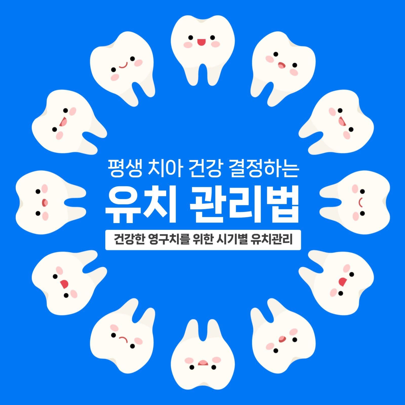 치아관리법법