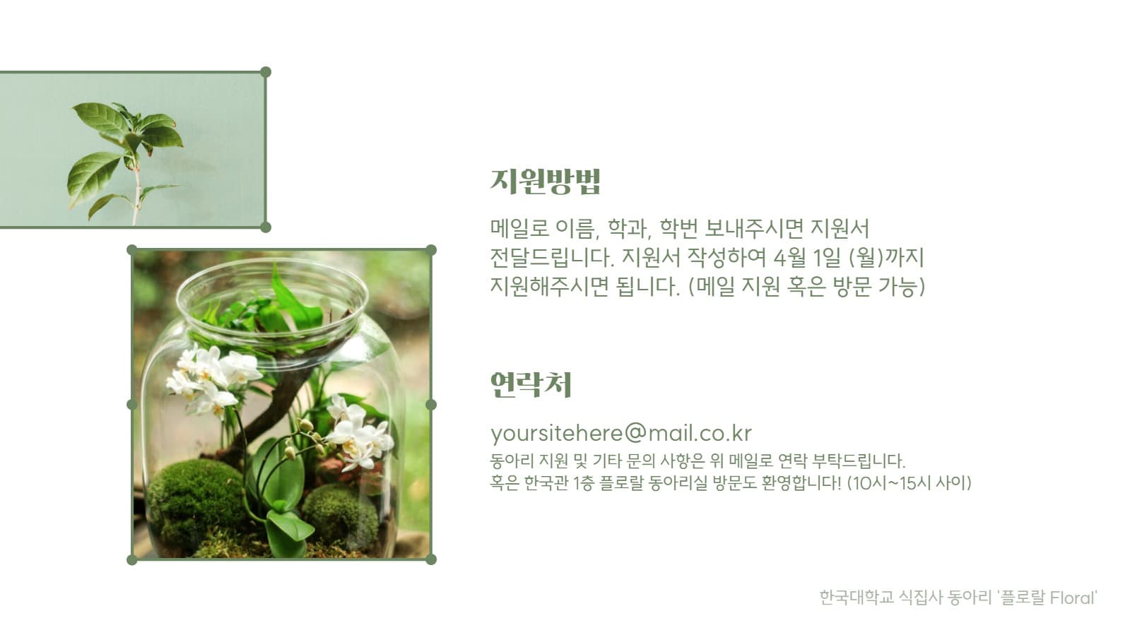 동아리 소개서 프레젠테이션