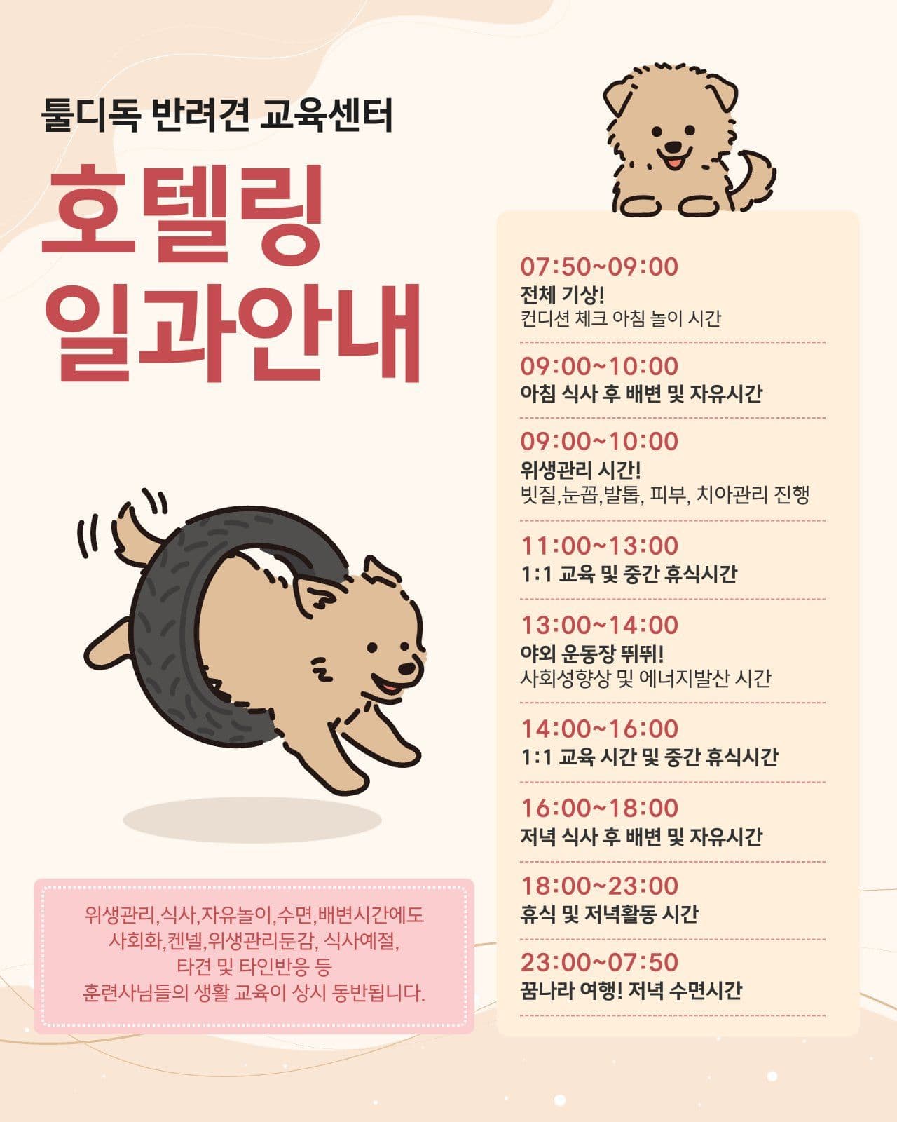 애견 호텔링 일과안내