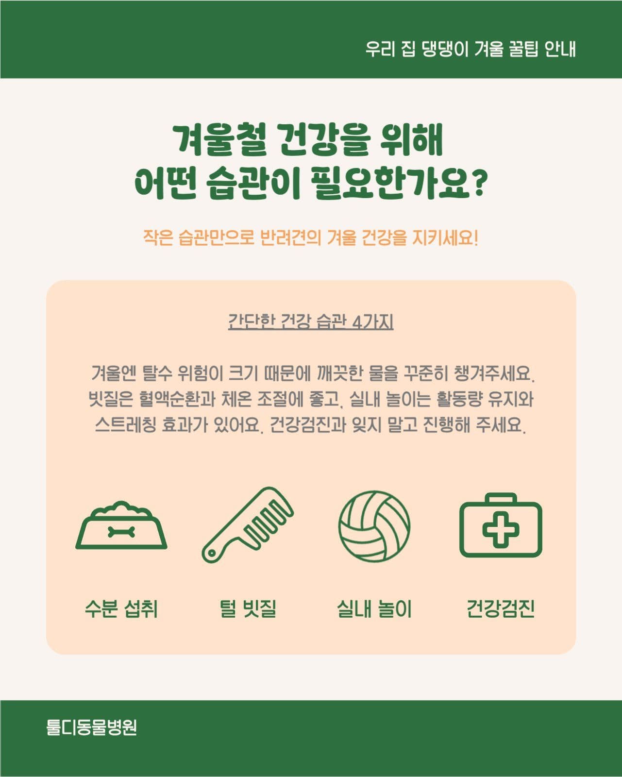 반려동물 강아지 건강 정보 카드뉴스