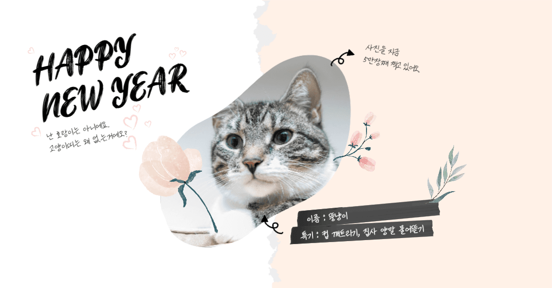 뚱냥이의새해인사