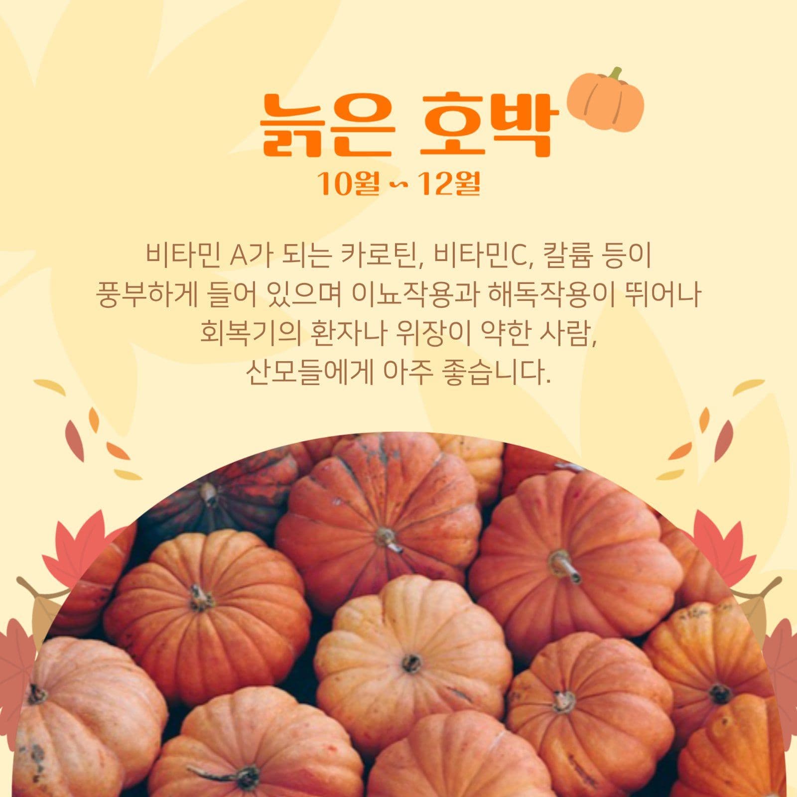 제철이 주는 따뜻한 맛