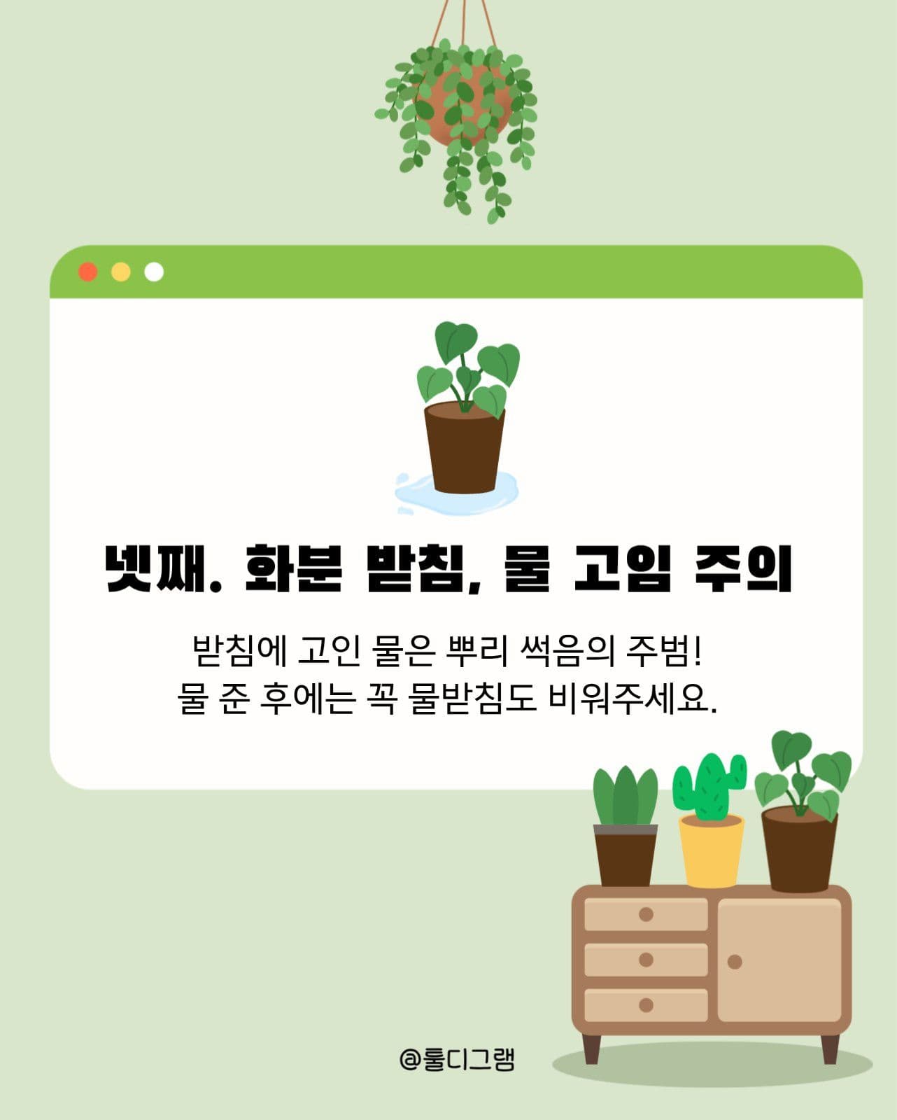 식물관리방법