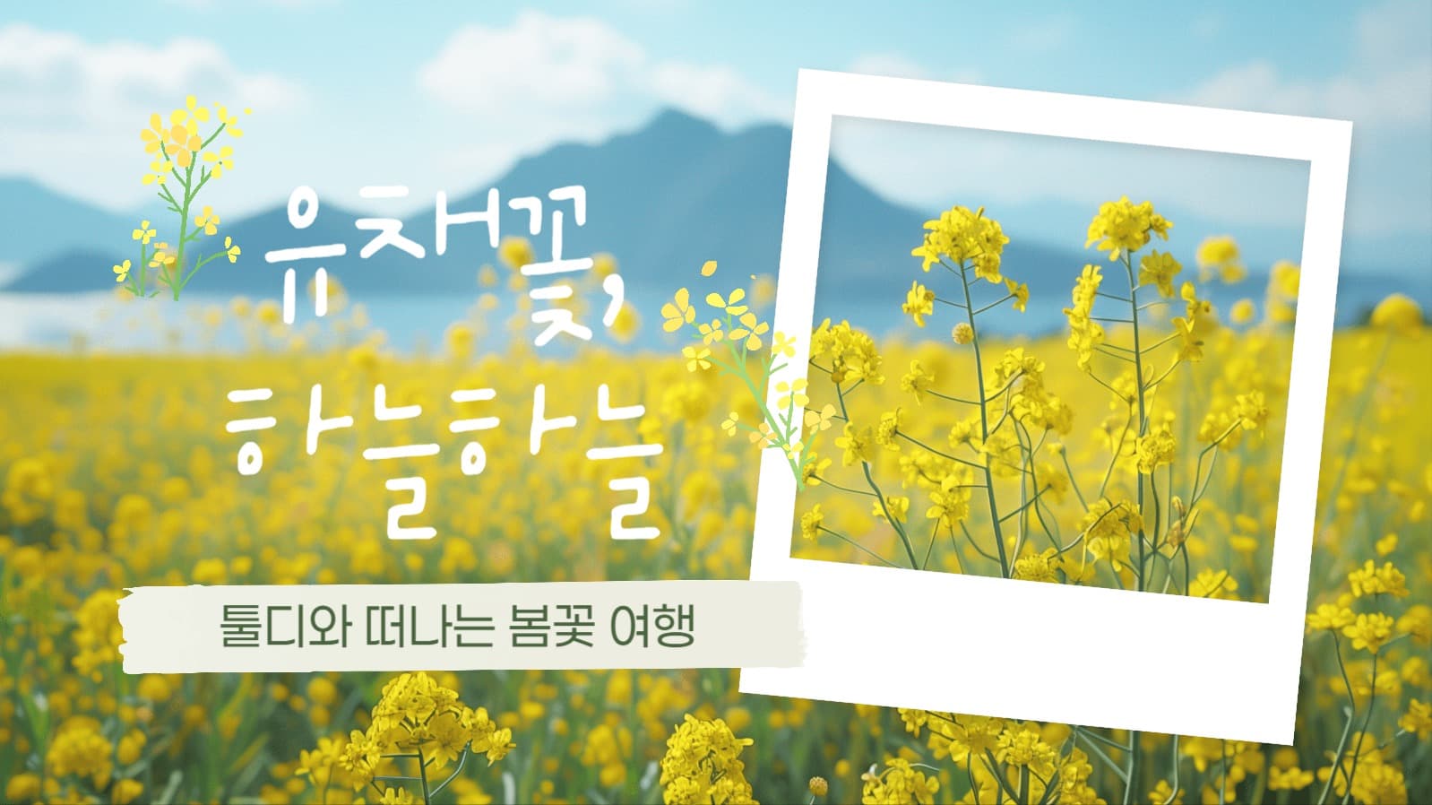 유채꽃 봄꽃 여행 유튜브 썸네일