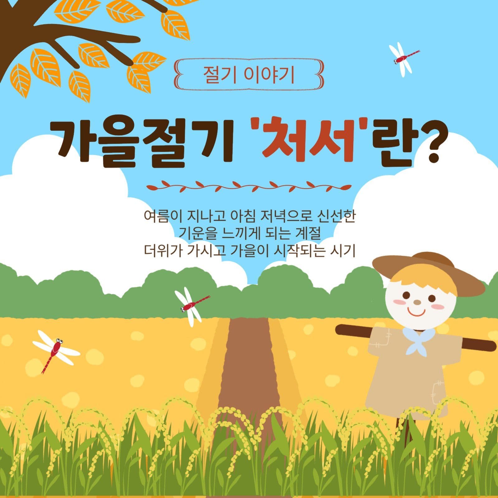 가을절기처서란