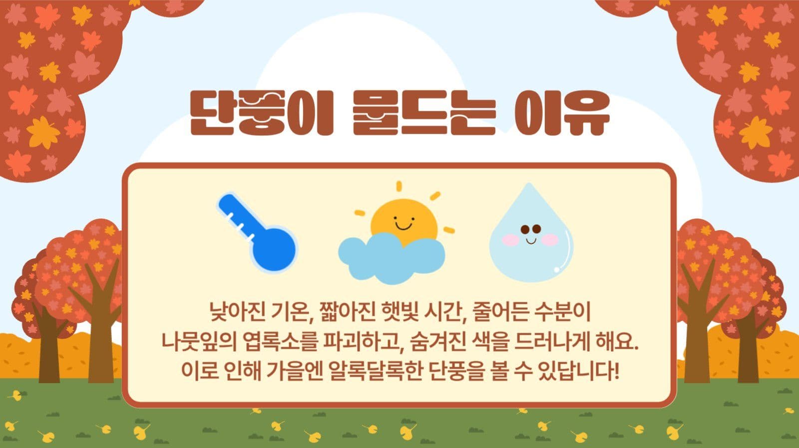 가을단풍 프레젠테이션